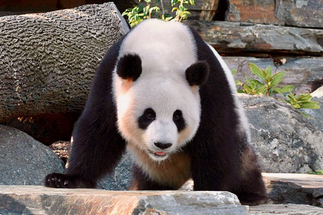 Adelaide Zoo